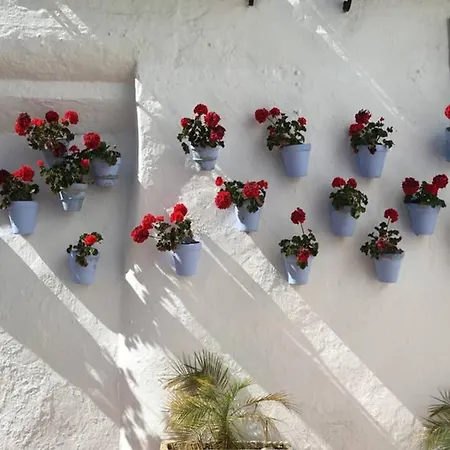 Happy Apartamento - Terraza Apartament *